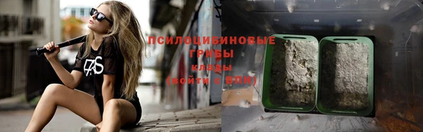 винт Алексин