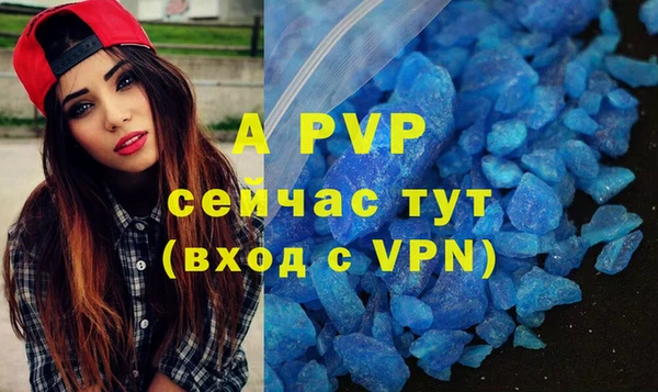 винт Алексин